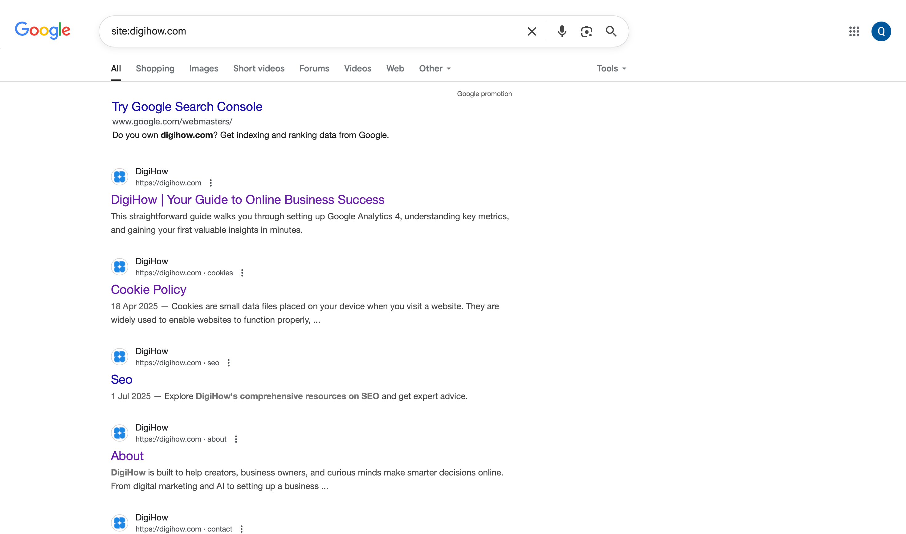 A Google Search of site:digihow.com